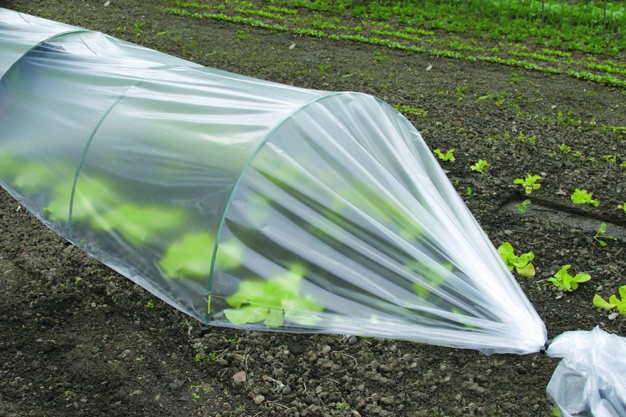 Плёнка полиэтиленовая, парниковая, 120 мкм парников 3х6 м