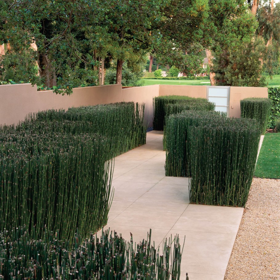 Андреа Кочран ландшафтный дизайн