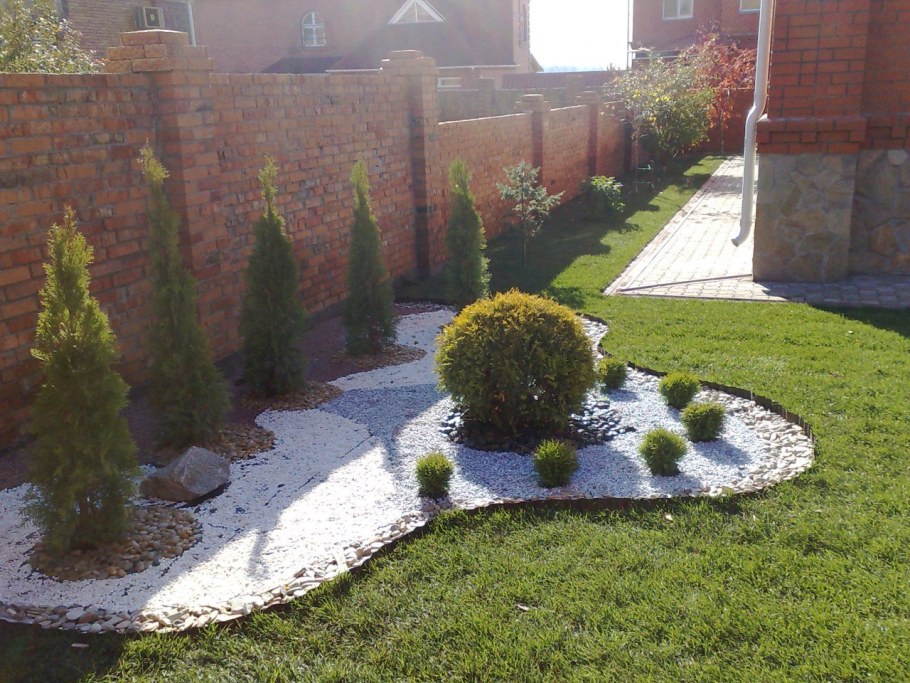 Туи Даника на мраморной крошке