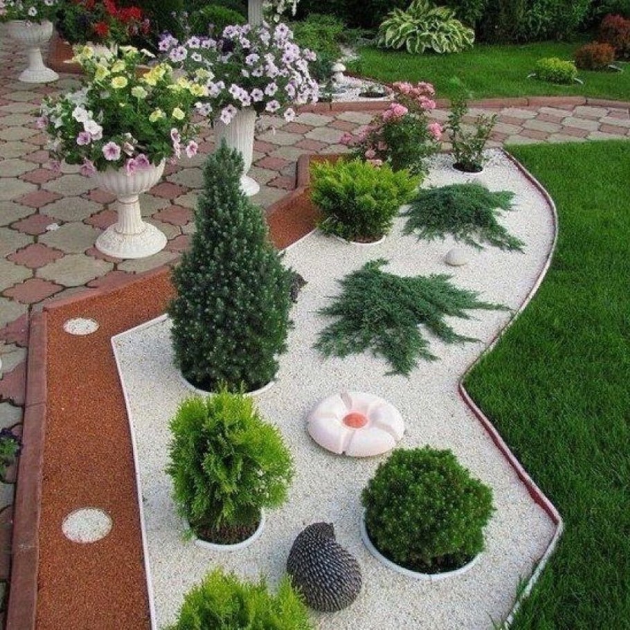 Мраморная крошка вокруг туи