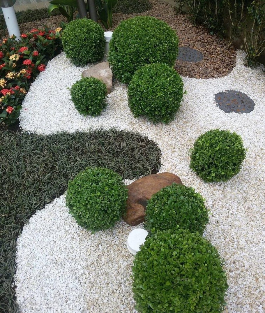 Мульчирование туи корой