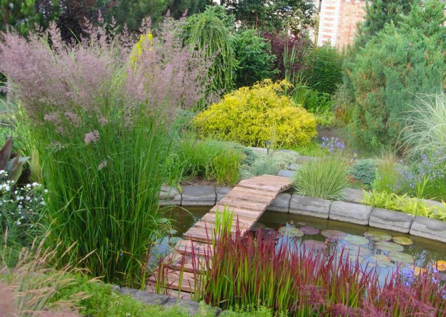 Злак Вейник