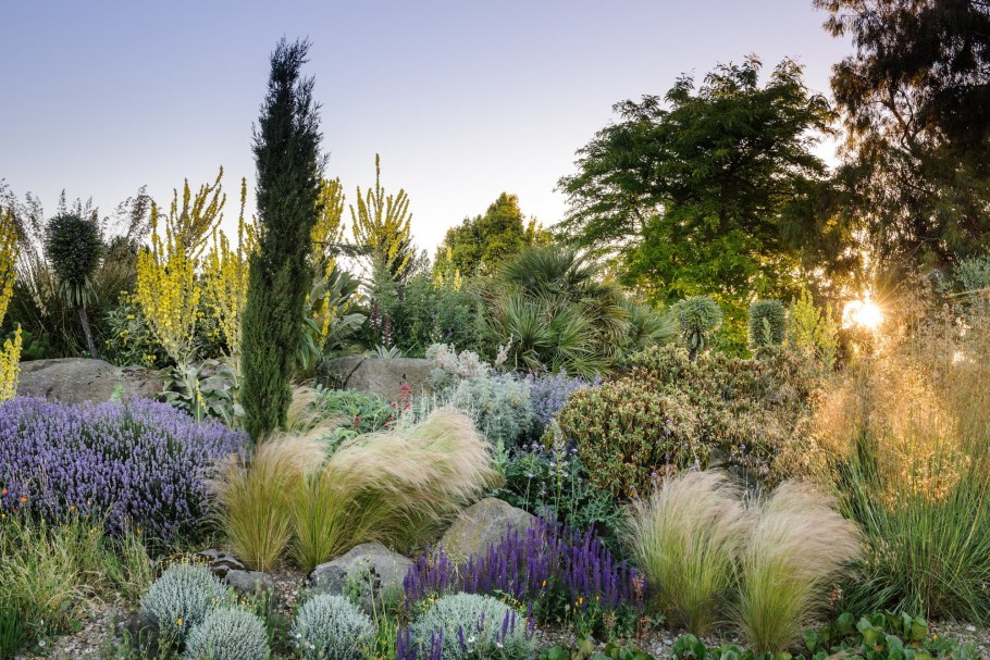 Злаки пит Удольф