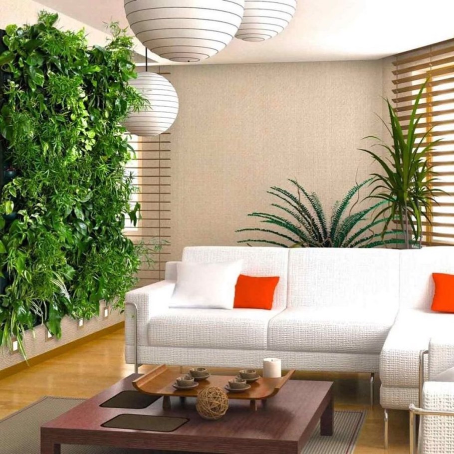 Комната с растениями