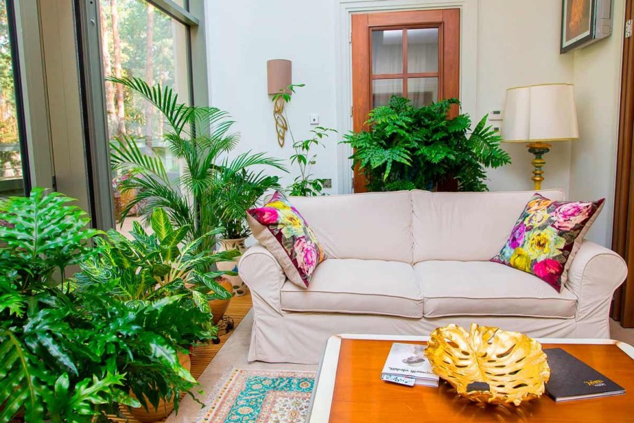 Растения в интерьере жилого дома