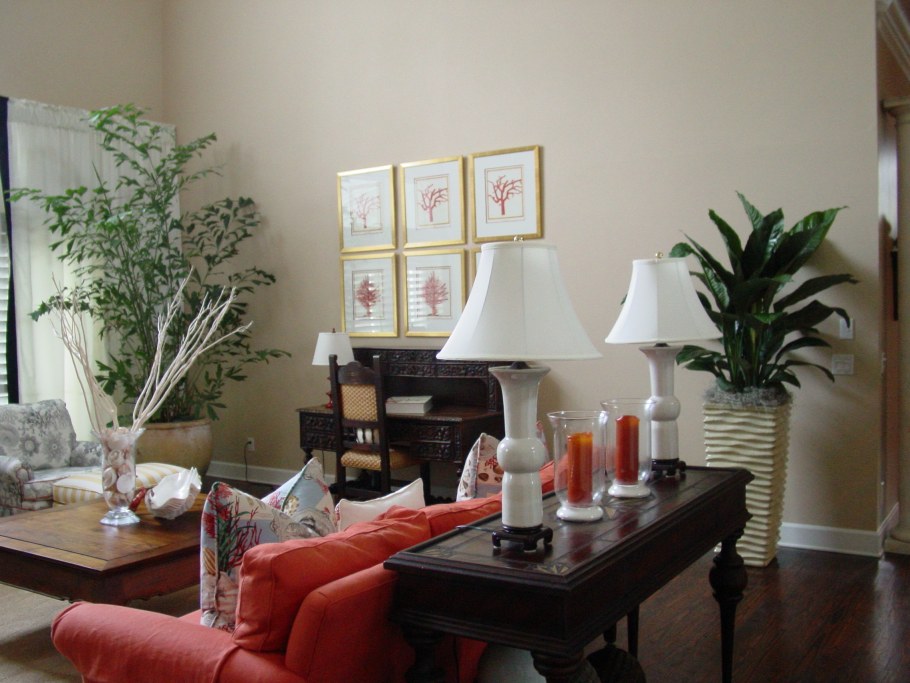 Комната с растениями