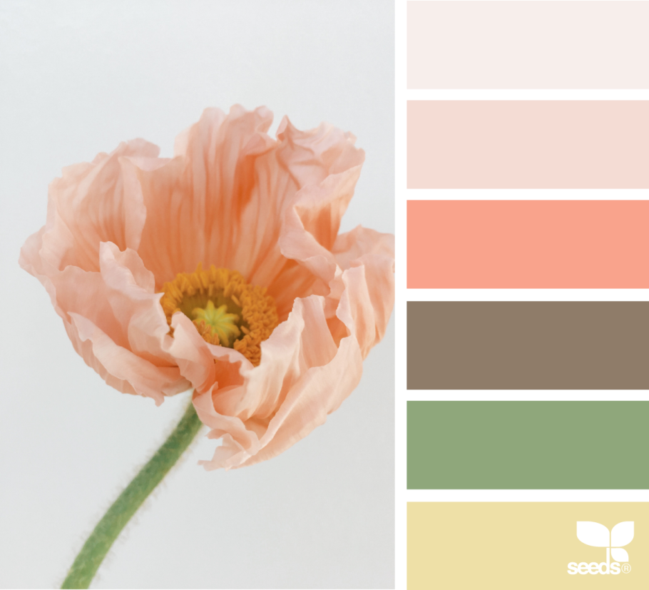 Сочетание с персиковым цветом