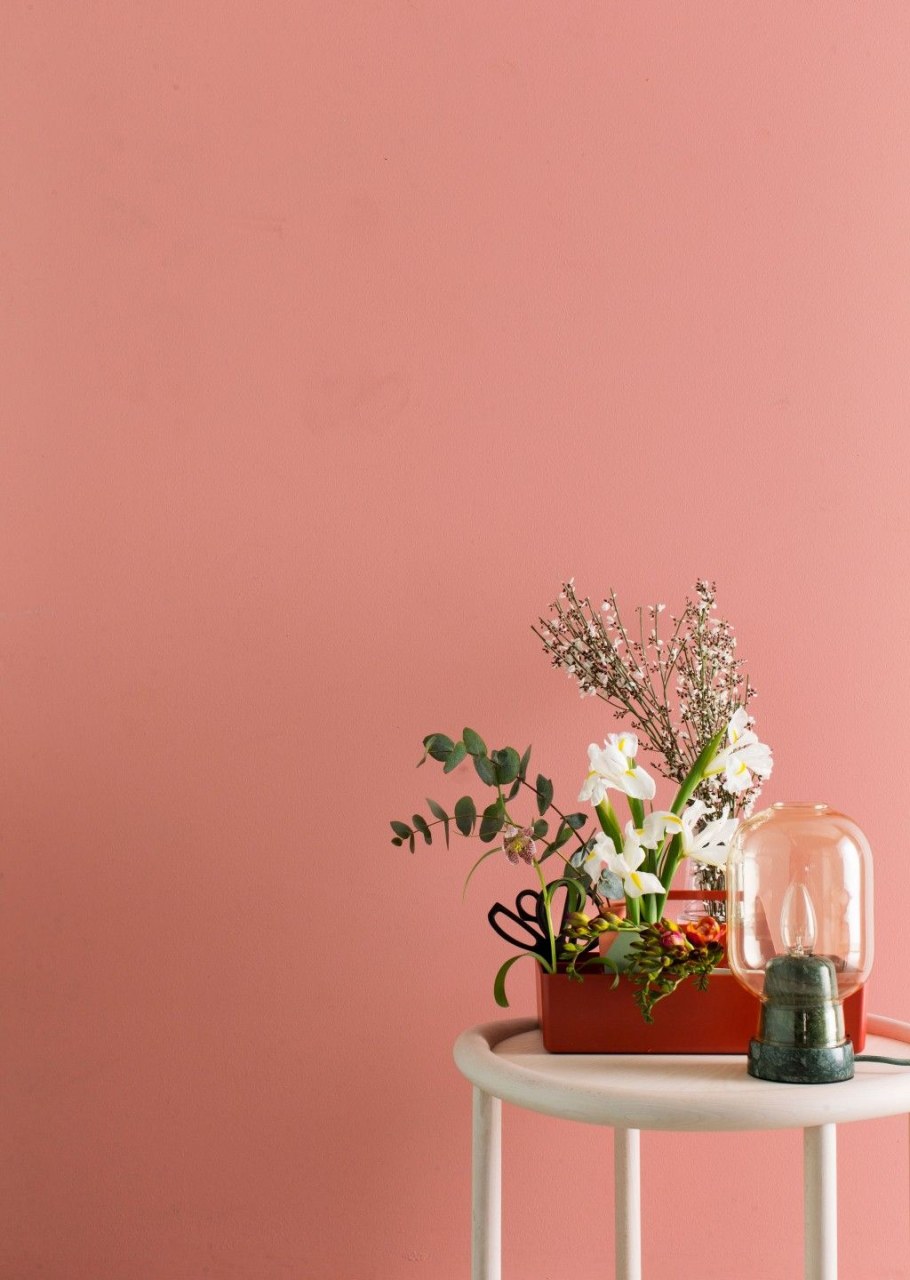 Персиково розовый цвет стен