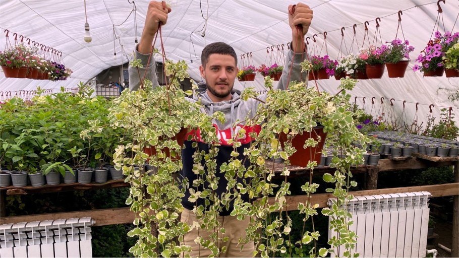 Цветы для сада и огорода