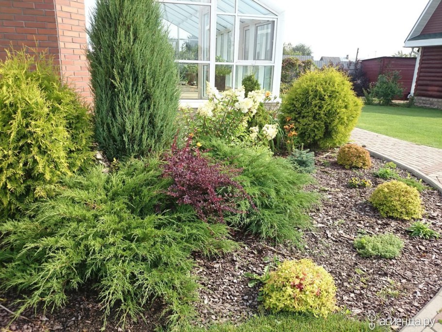 Миксбордер с туей Смарагд