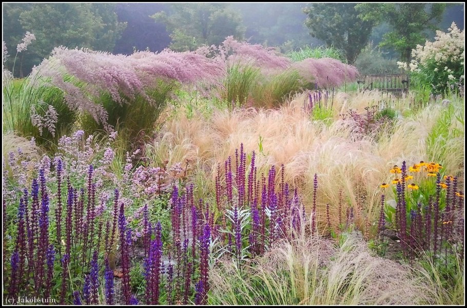 Сады пита Удольфа