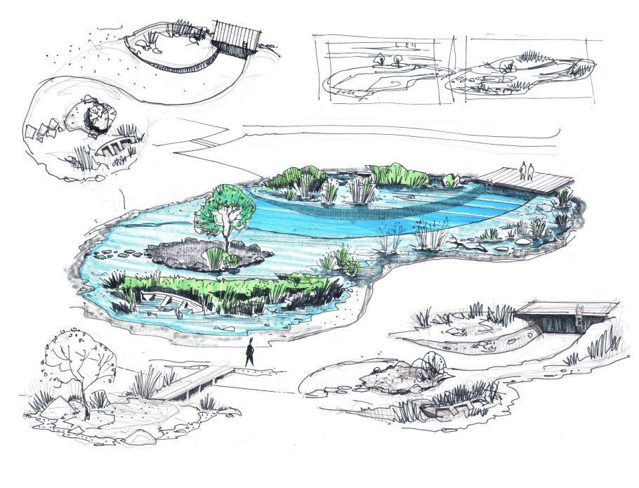 Проект водоема