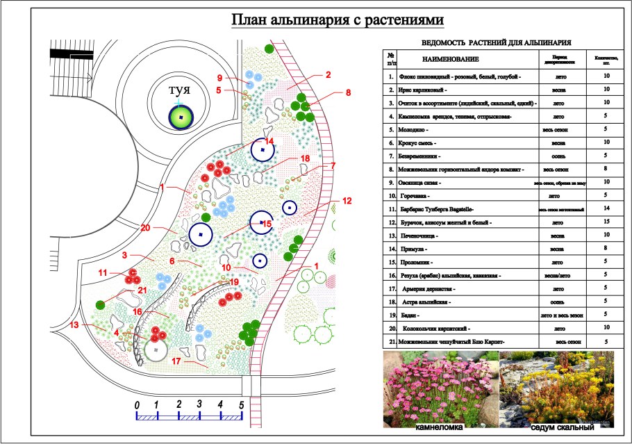 Рокарий в ландшафтном дизайне схемы растений