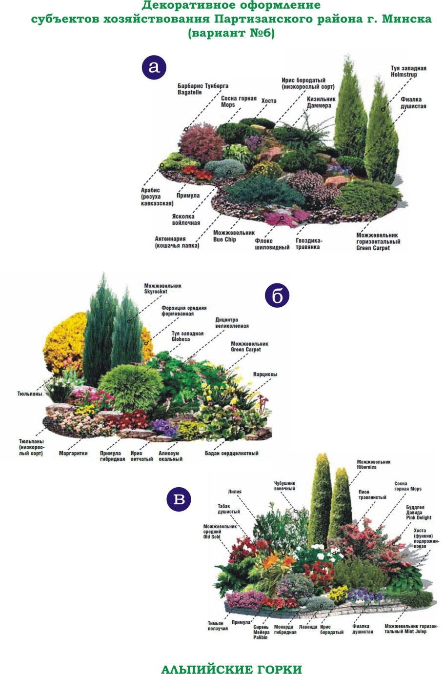 Альпийская горка Хвойная схема
