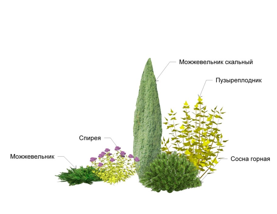 Миксбордер с туей Смарагд