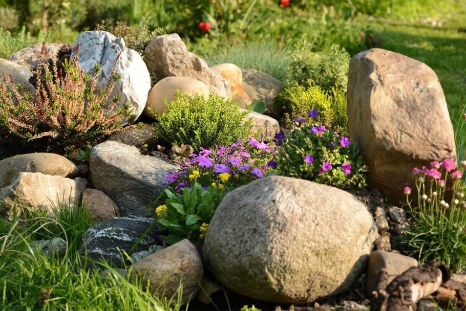 Рокарий Каменистый сад
