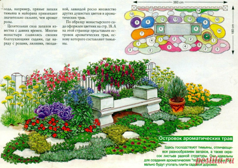 Миксбордер из пряных трав схема посадки
