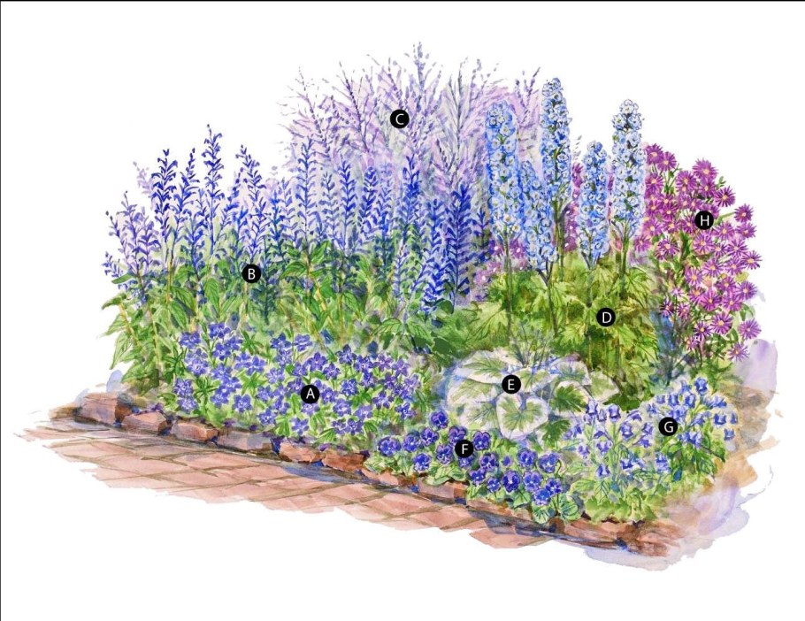 Миксбордер с дельфиниумом