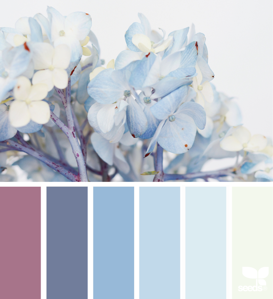 Палитра цветов