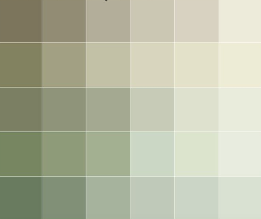 Палитра Dulux оливковый