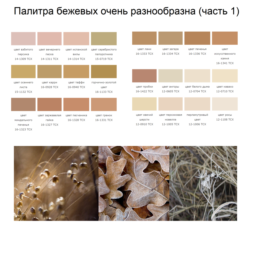 Бежевые тона палитра