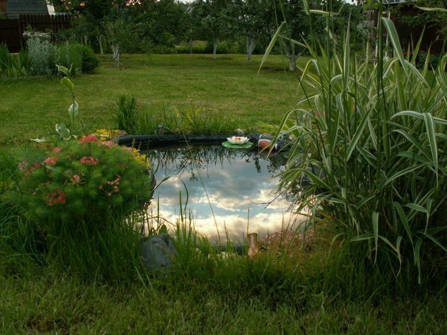 Елизарово прудик