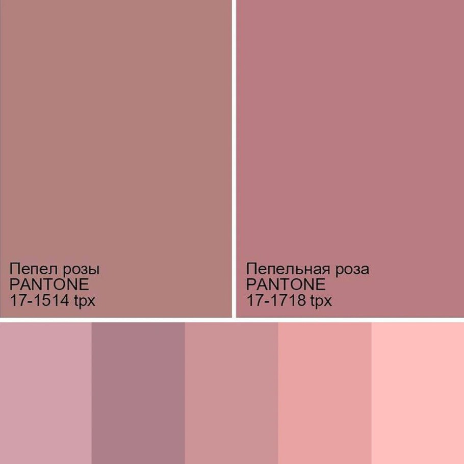 Пыльная роза цвет пантон
