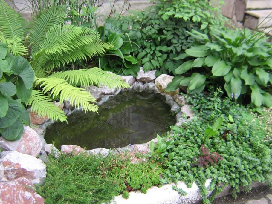 Маленький прудик в саду