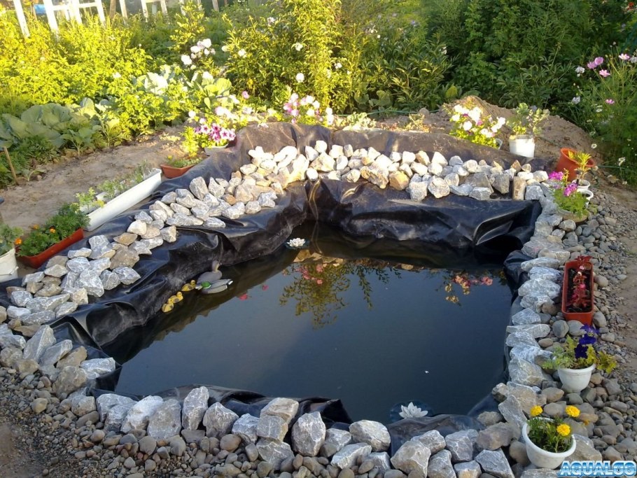 Пруд на даче