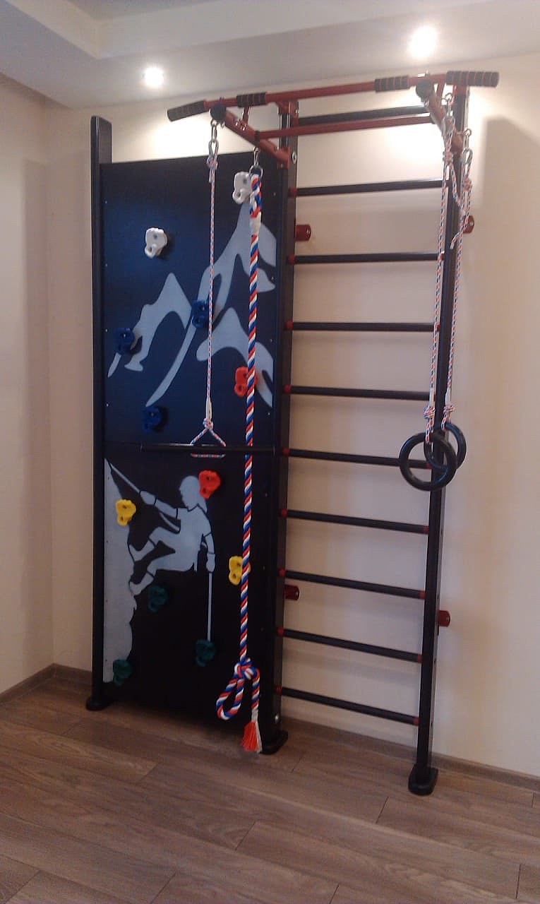 Турник Karussell kraft2