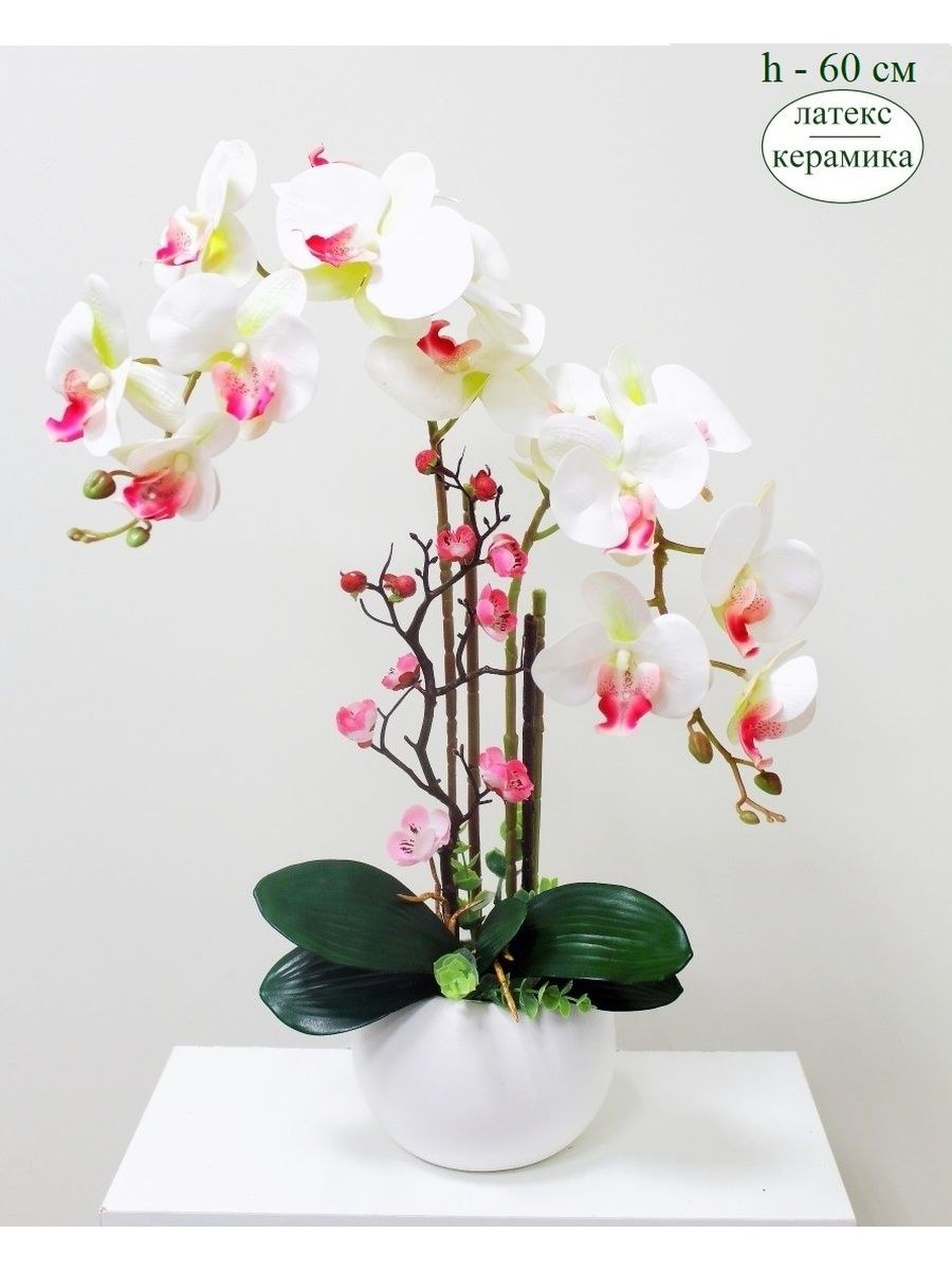 Латексные орхидеи с лампочками купить в Ростове Великом