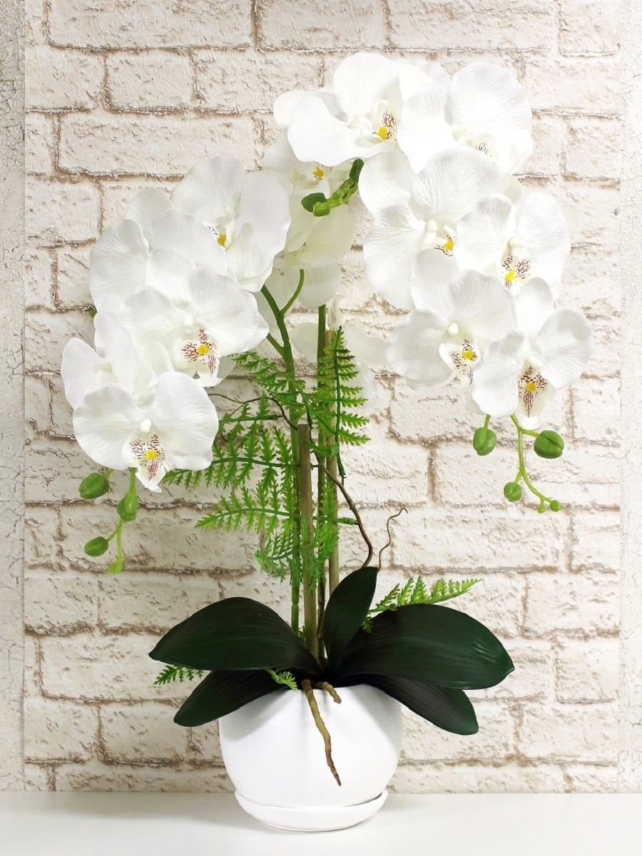 Композиция с орхидеями в горшке