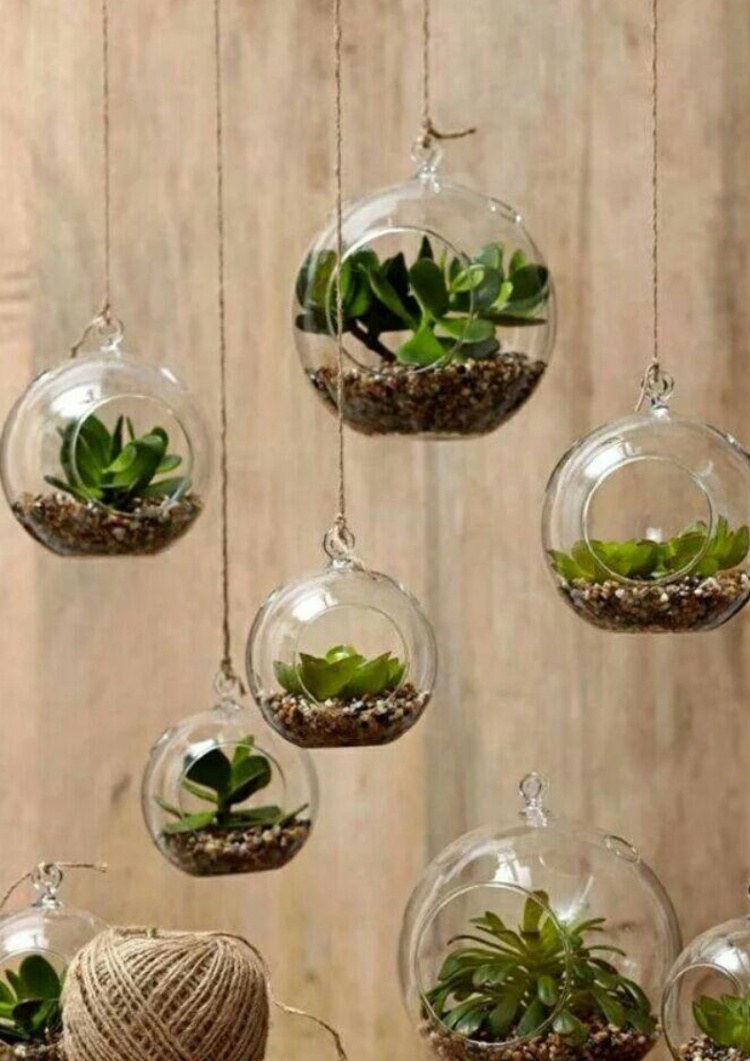 Флорариум с суккулентами в интерьере