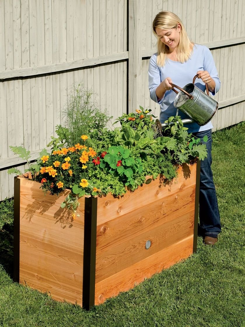 Огород в ящиках