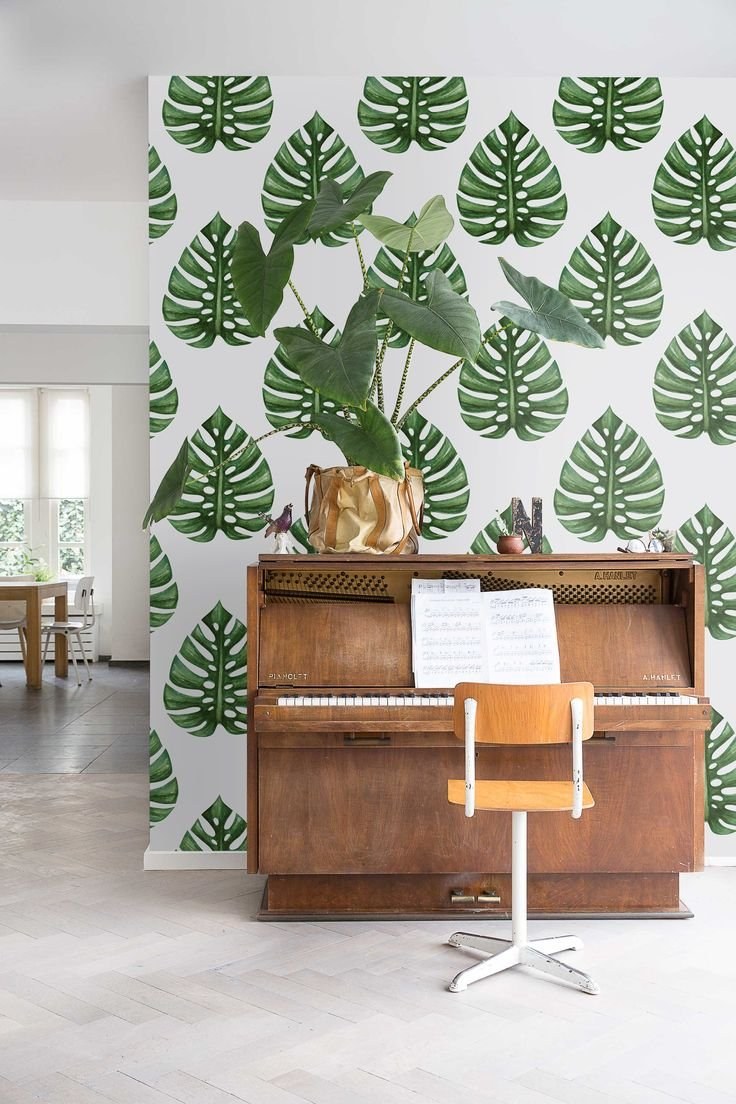 Монстера декор