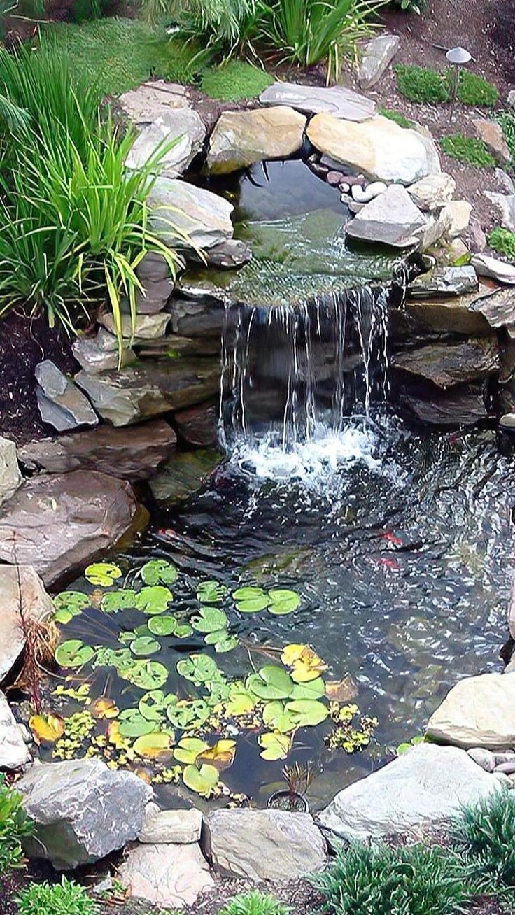 Маленький водоем в саду