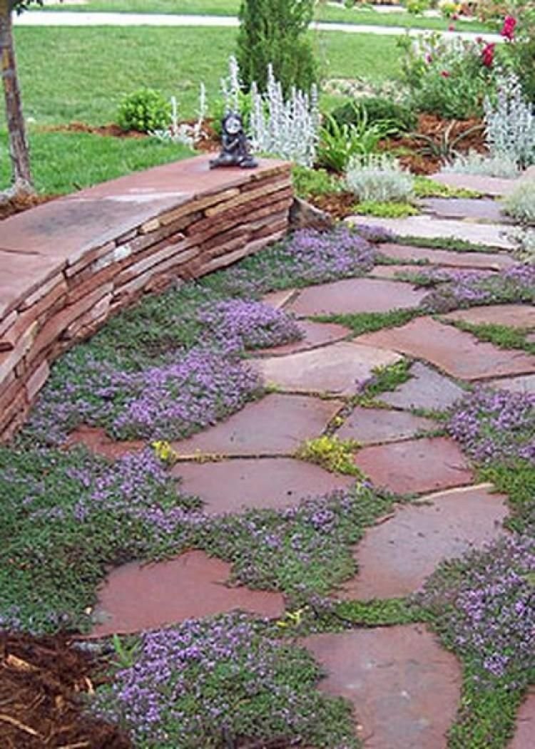 Пластушка в ландшафте