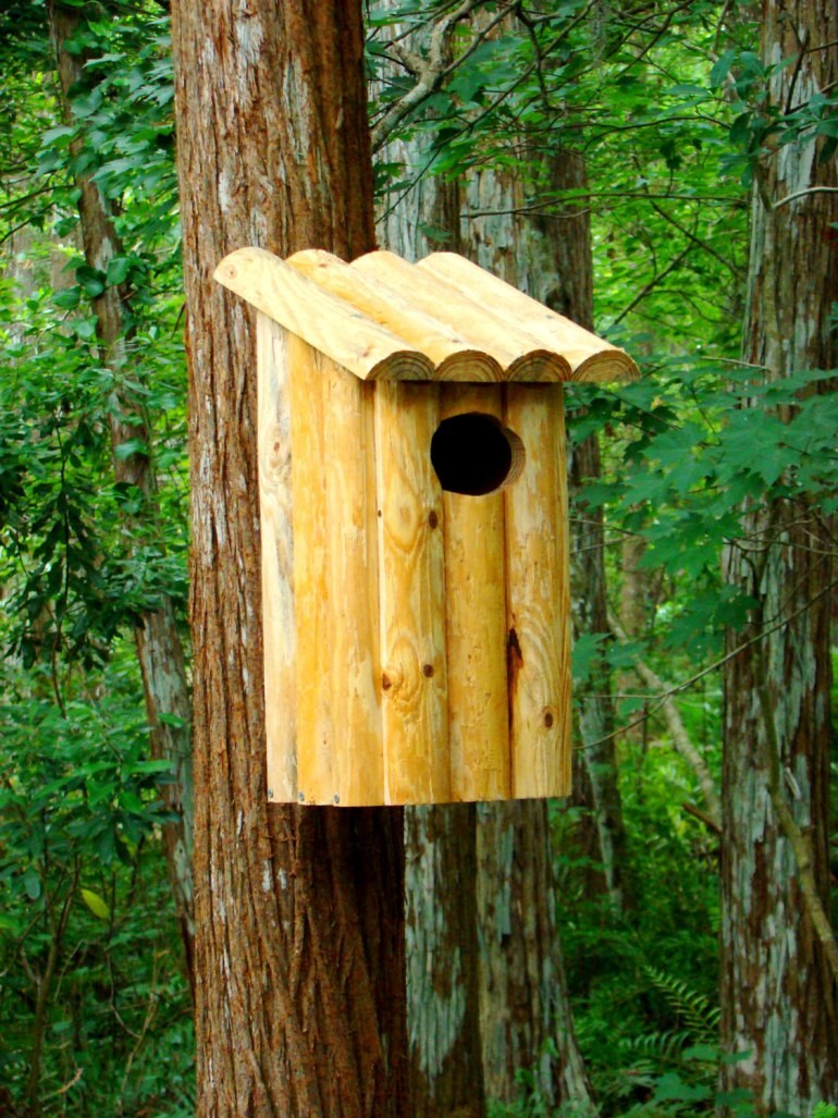 Скворечник-бельчатник "Бекас"