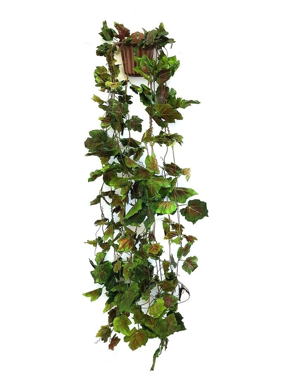 Искусственные лианы на стене