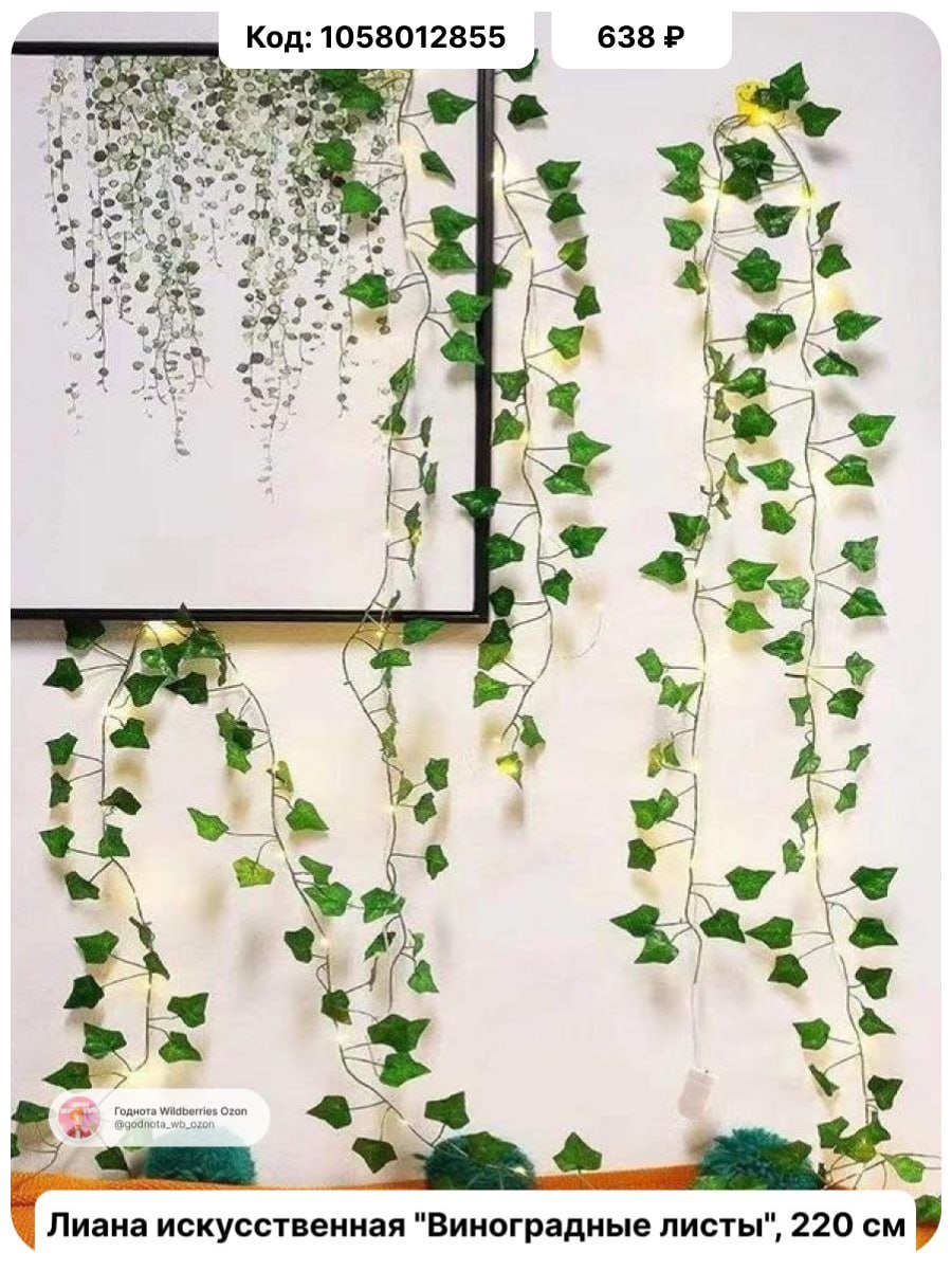 Вьющиеся растения для дома