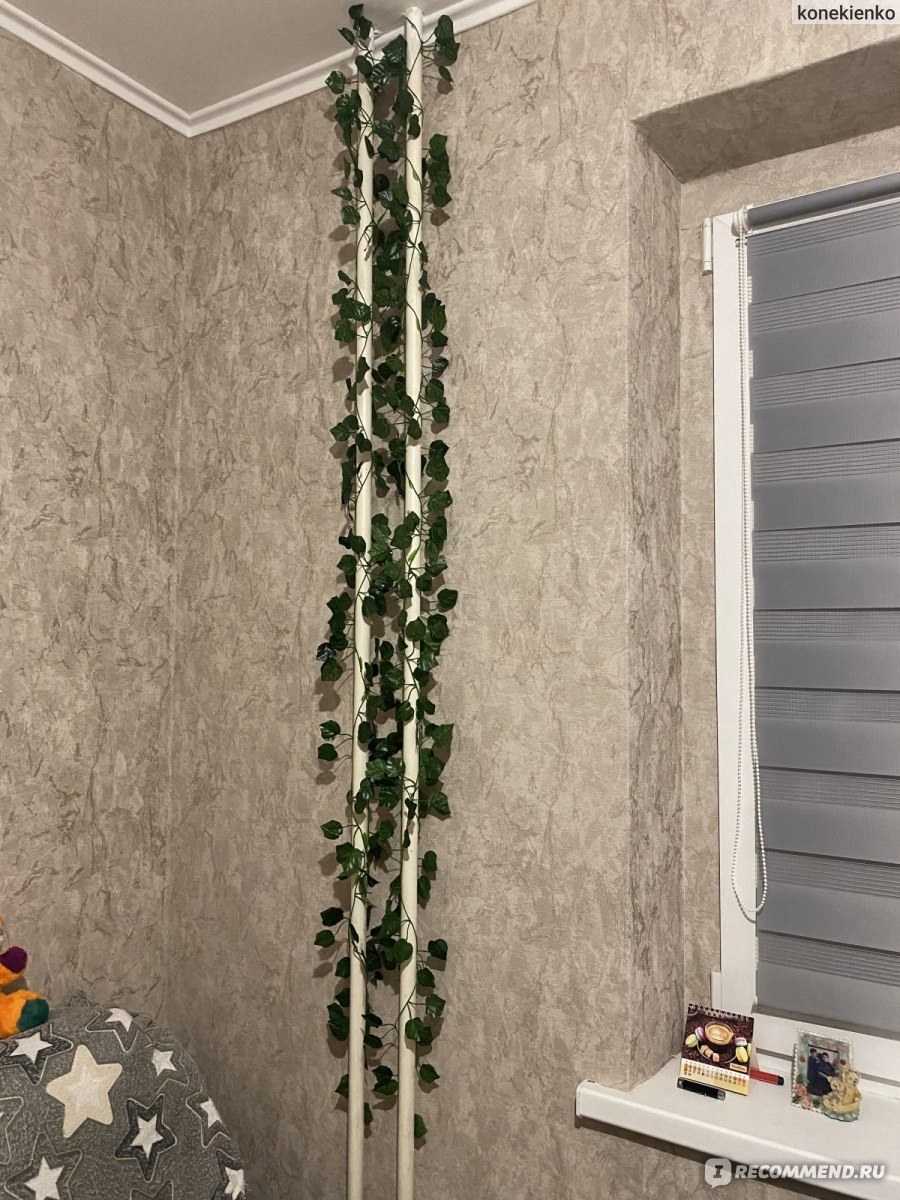 Авелук косичка