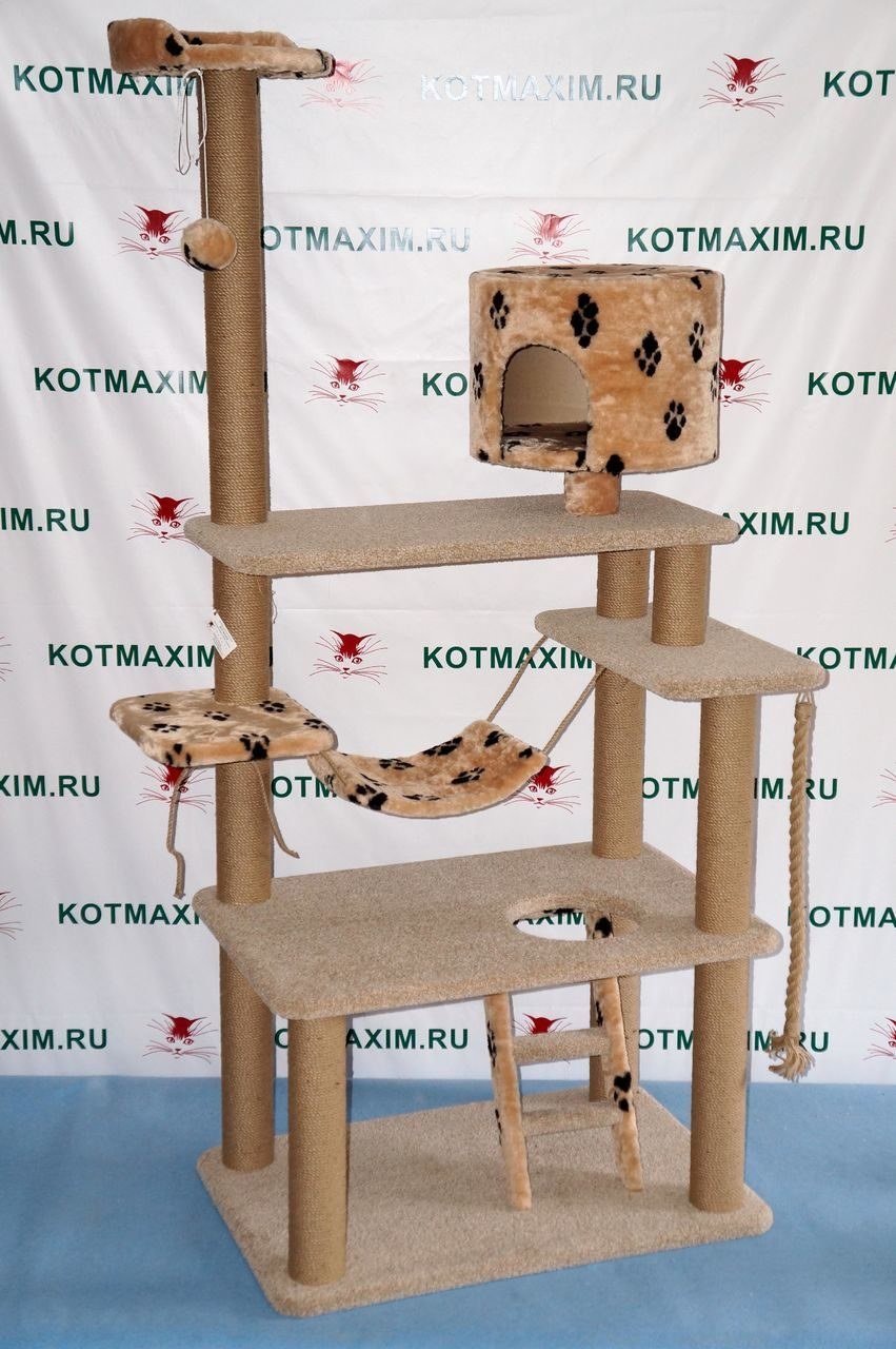 Домик-когтеточка для кошек с размерами