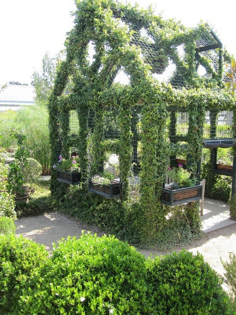 Беседка оплетенная плющом