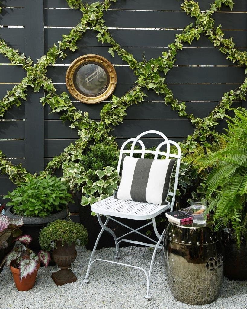 Плющ в саду