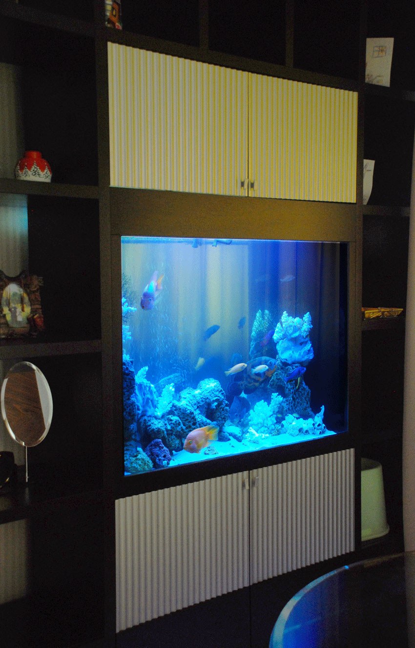 Аквариум в стенке