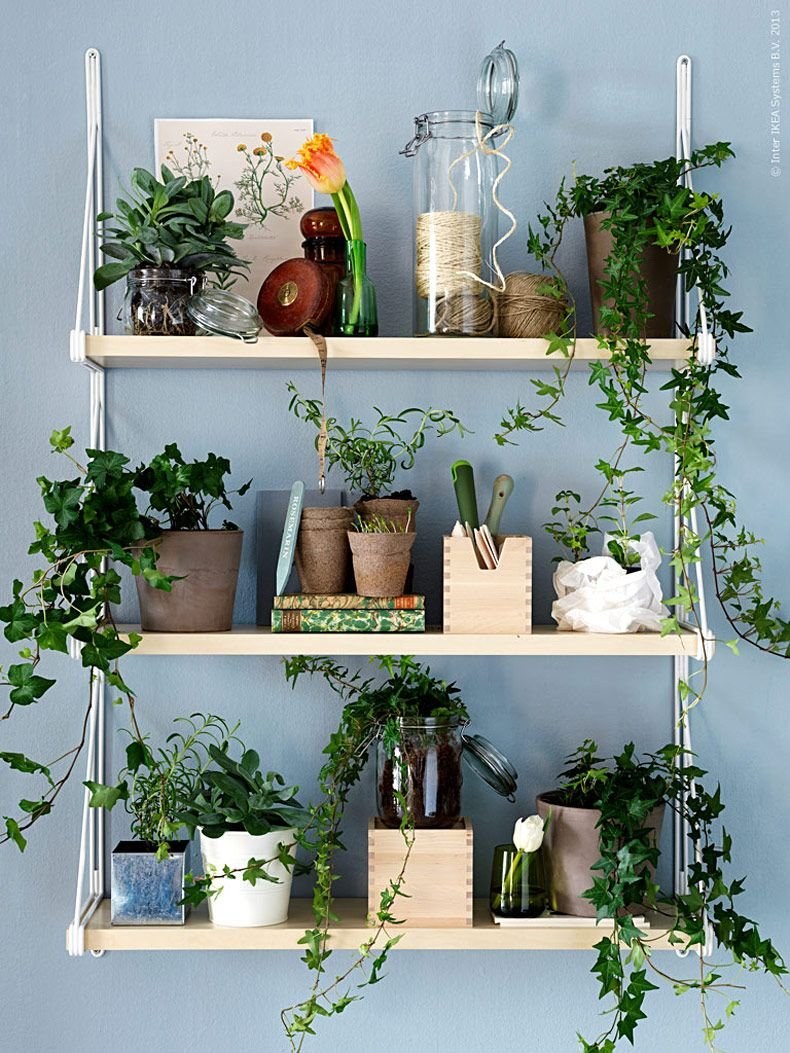 Полки для цветов в интерьере