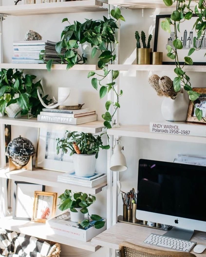 Цветы на полке в интерьере