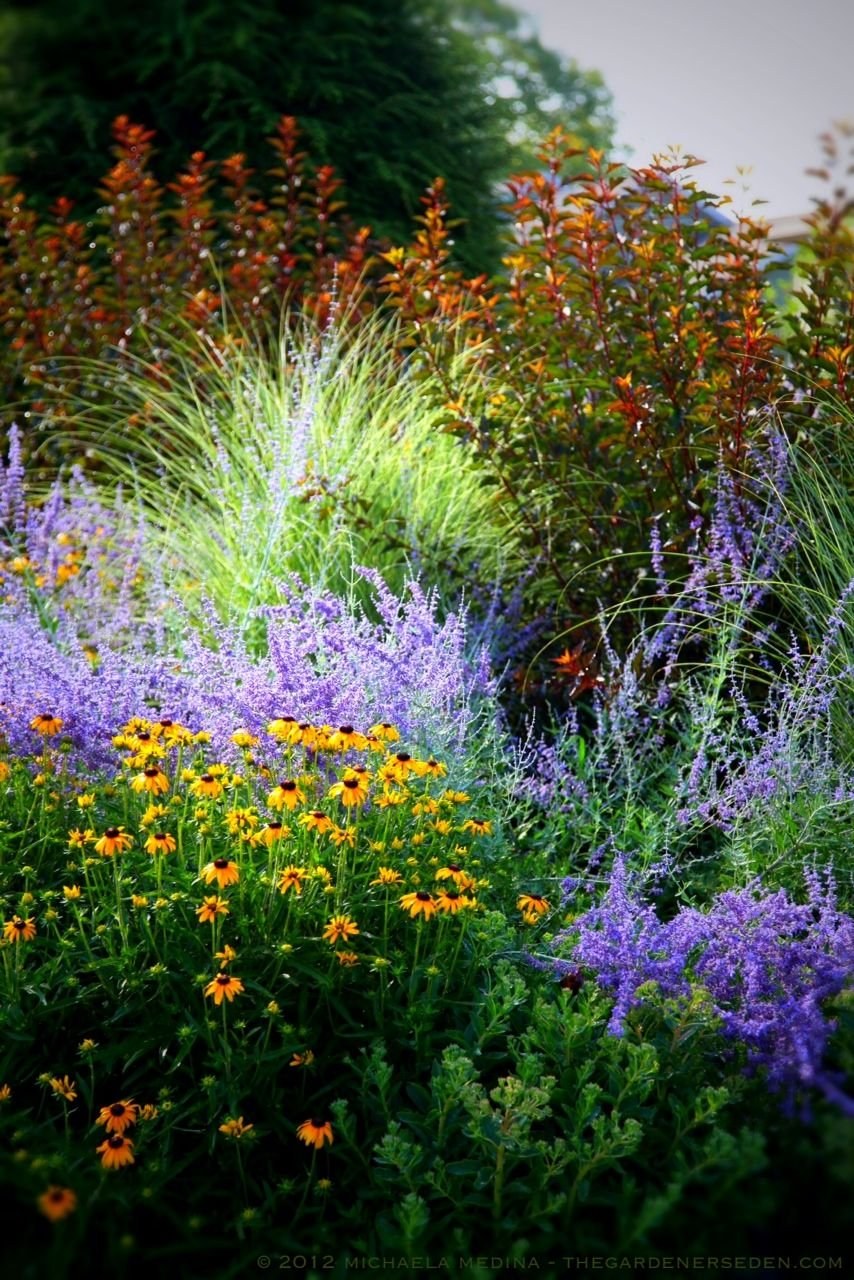 Котовник и перовския