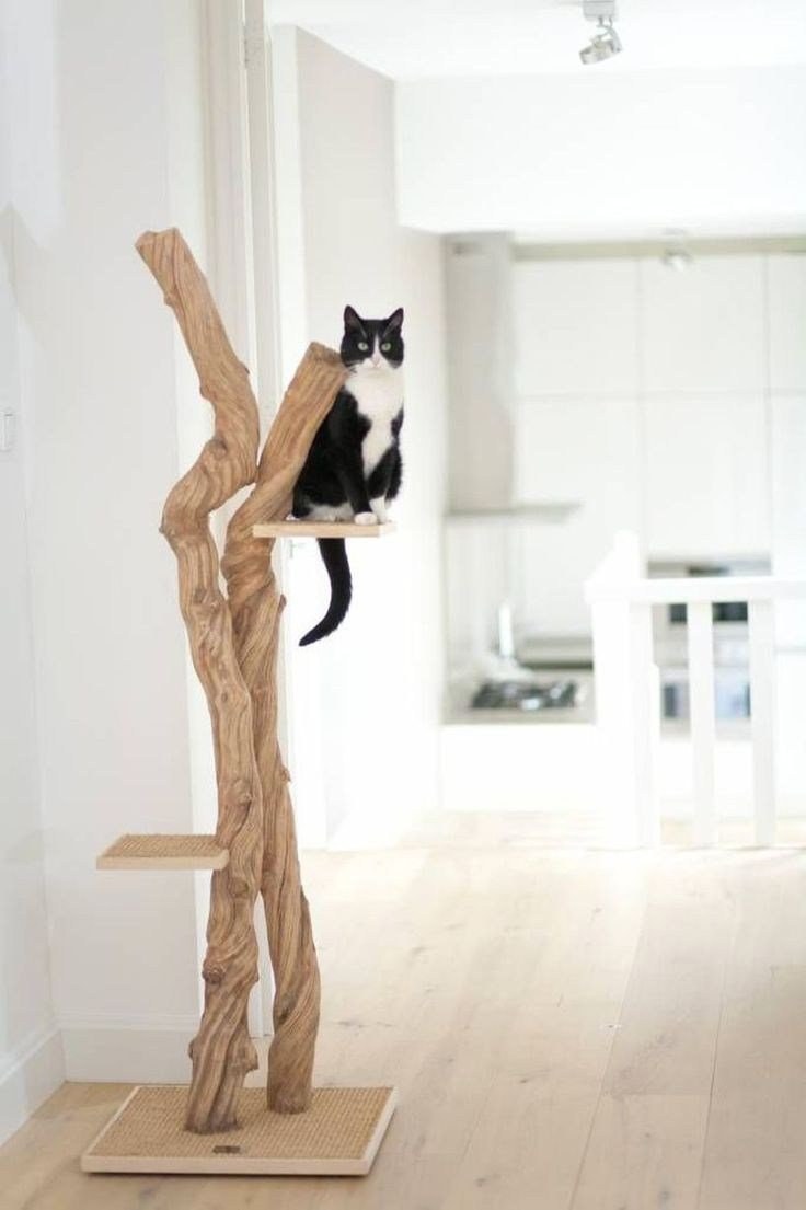 Когтеточка из ствола дерева