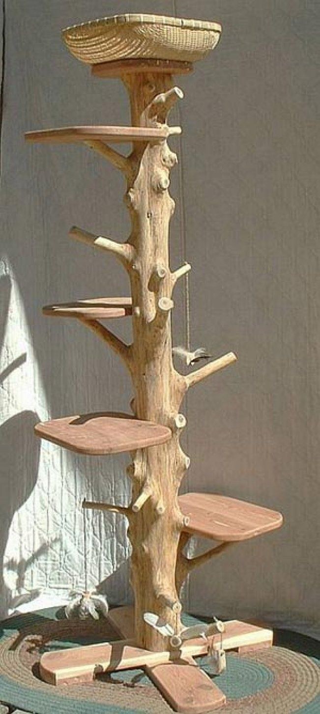 Когтеточка из коряги